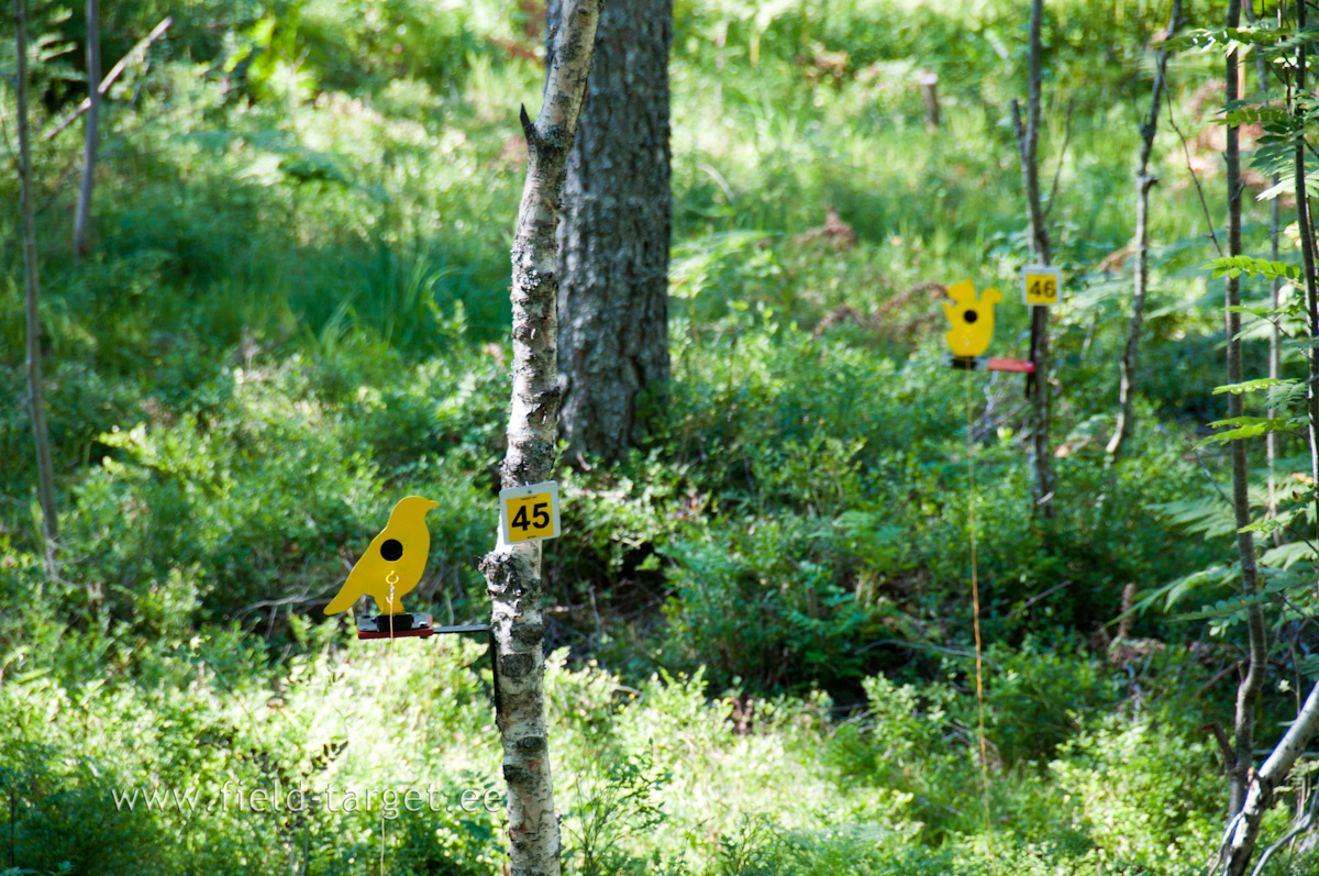 44 Targets are down, 6 last to go!